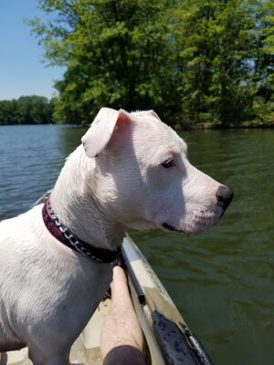 Coe Lake Park