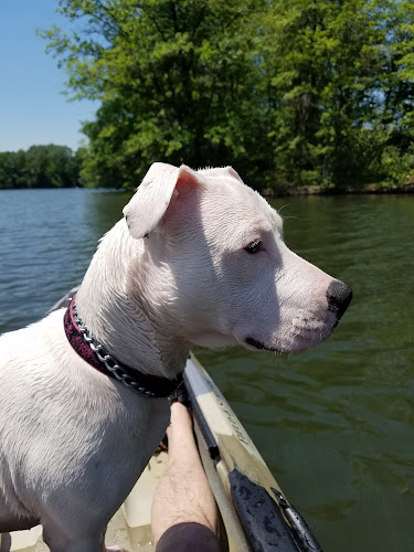 Coe Lake Park
