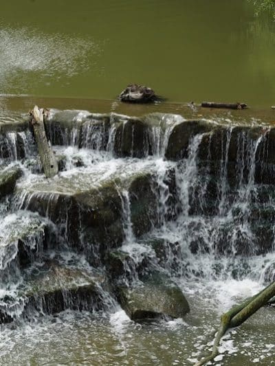 Wallace Lake Park - Berea, OH