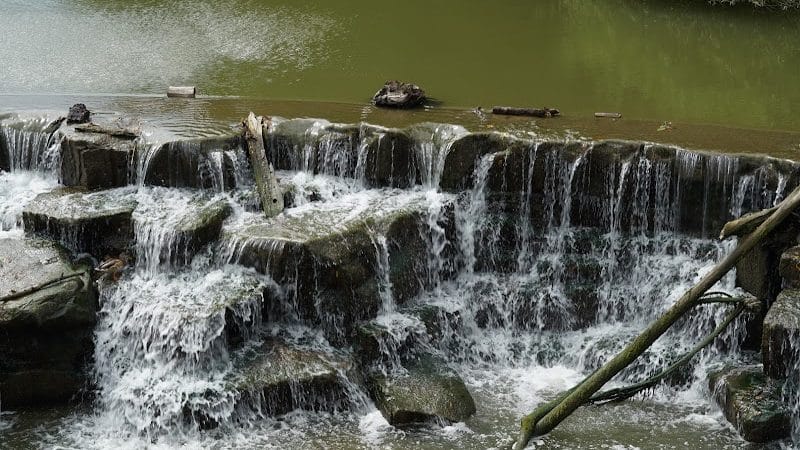 Wallace Lake Park - Berea, OH