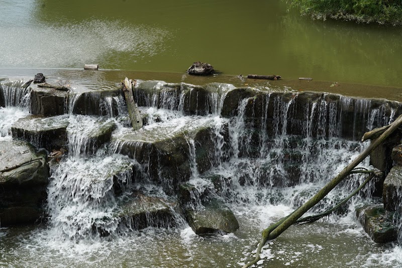 Wallace Lake Park - Berea, OH