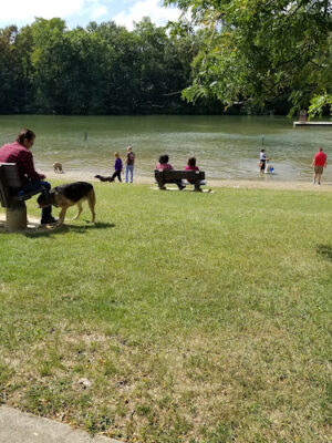 Wallace Lake Park
