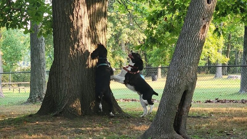 Berlin Lake Dog Park - Berlin Center, OH