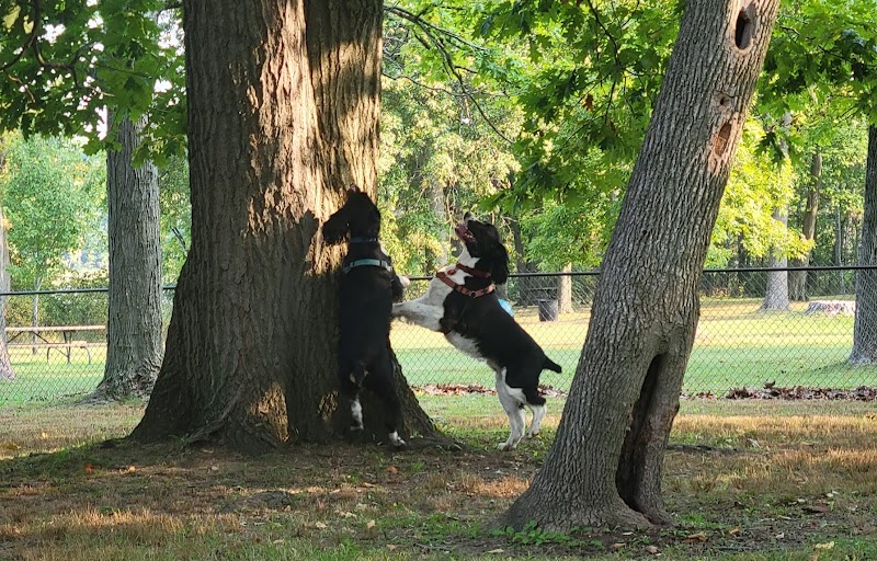 Berlin Lake Dog Park - Berlin Center, OH