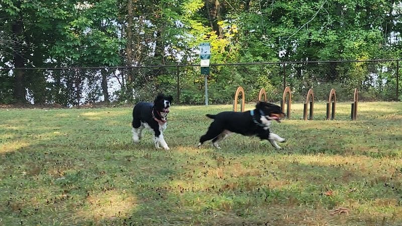 Berlin Lake Dog Park - Berlin Center, OH