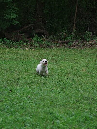 Edison woods lot - Berlin Heights, OH
