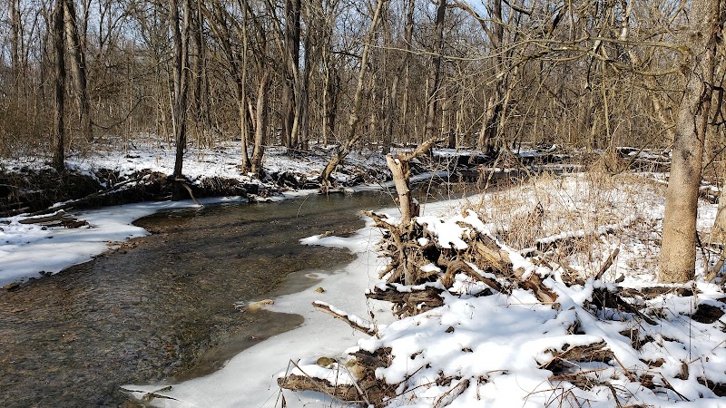 Hoffman Forest MetroPark - Berlin Heights, OH