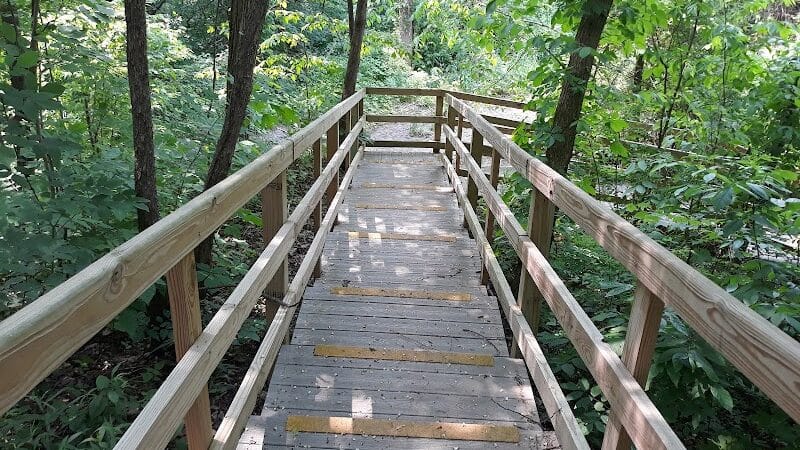 Hoffman Forest MetroPark - Berlin Heights, OH