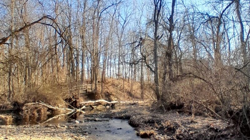 Hoffman Forest MetroPark - Berlin Heights, OH