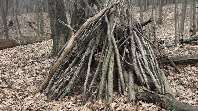 Hoffman Forest MetroPark - Berlin Heights, OH