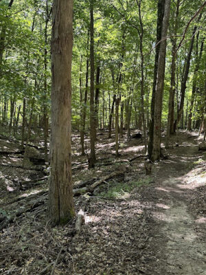 East Fork South Trailhead