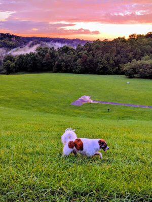 East Fork State Park