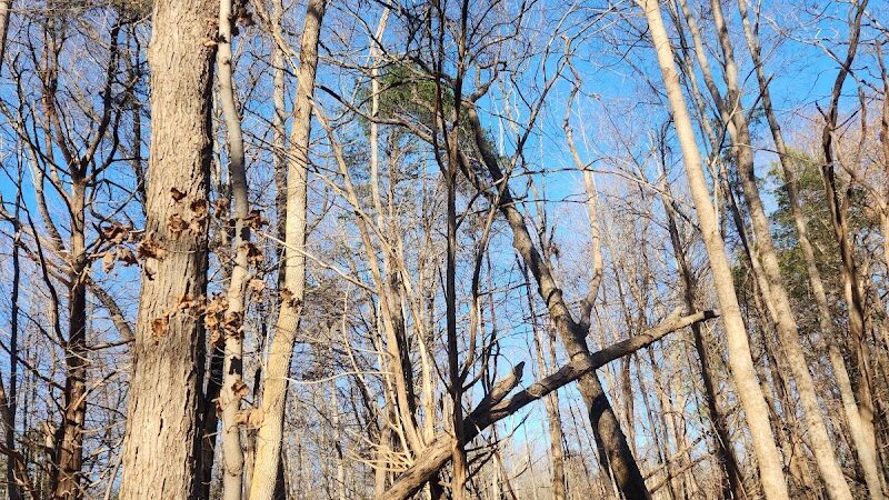 East Fork State Park - Bethel, OH