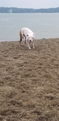 East Fork State Park Beach