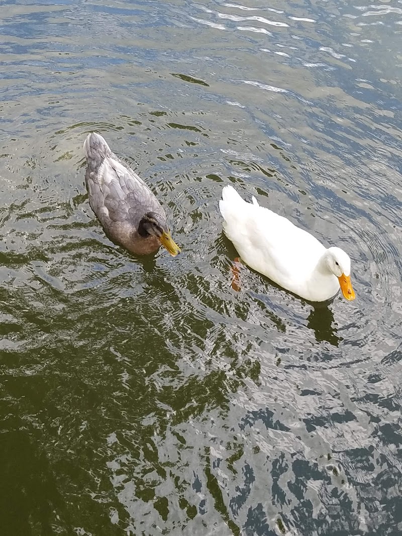 Epworth Park (EPCOA) - Bethesda, OH