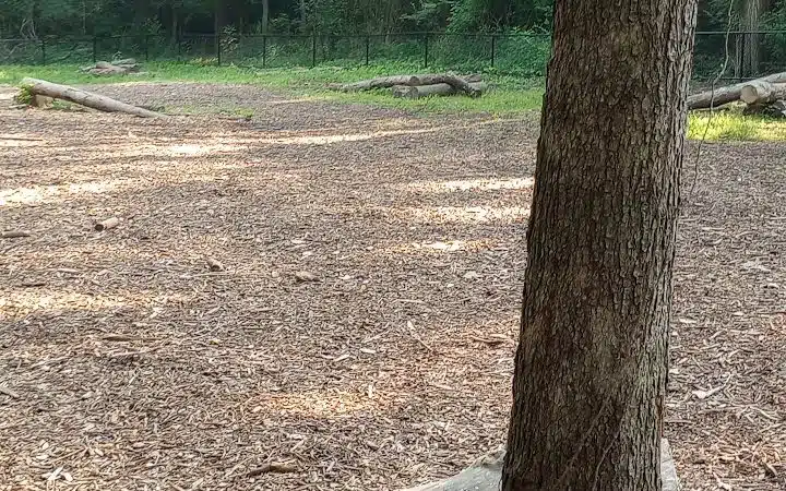 Schneider Dog Park - Bexley, OH