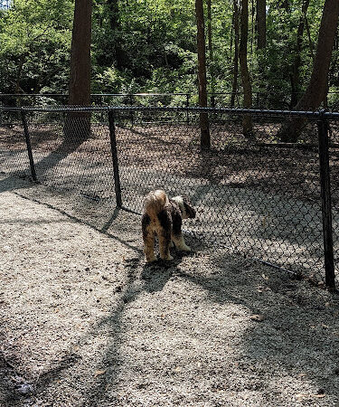 Schneider Dog Park