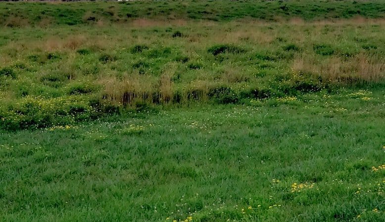 Blacklick Ridge Community Park - Blacklick, OH
