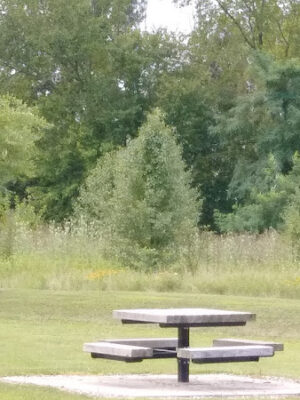 Cedar Run Park