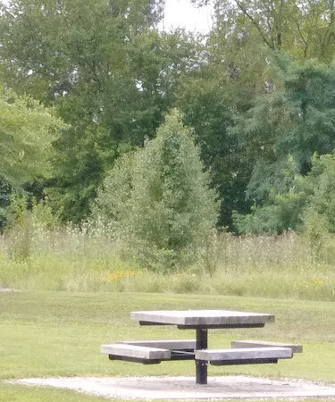 Cedar Run Park