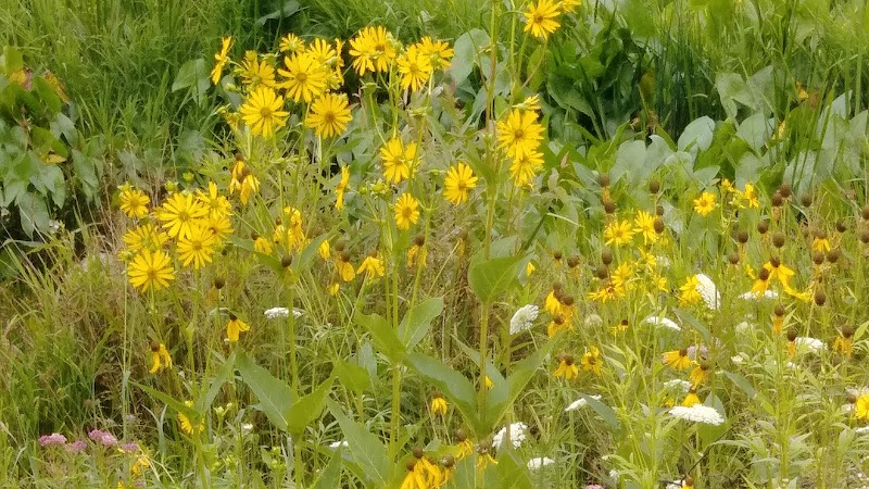 Crawford Farms Park - Blacklick, OH