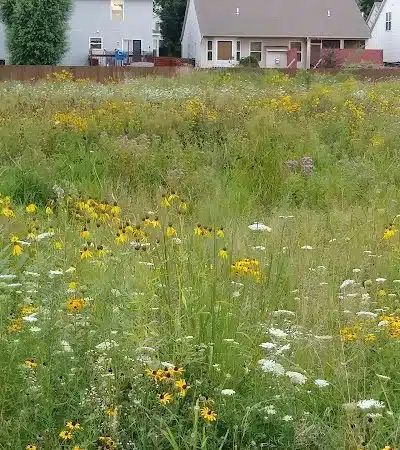 Crawford Farms Park - Blacklick, OH