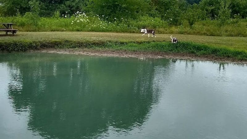 Tom Harvey Memorial Dog Park - Blanchester, OH