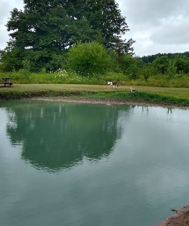 Tom Harvey Memorial Dog Park - Blanchester, OH