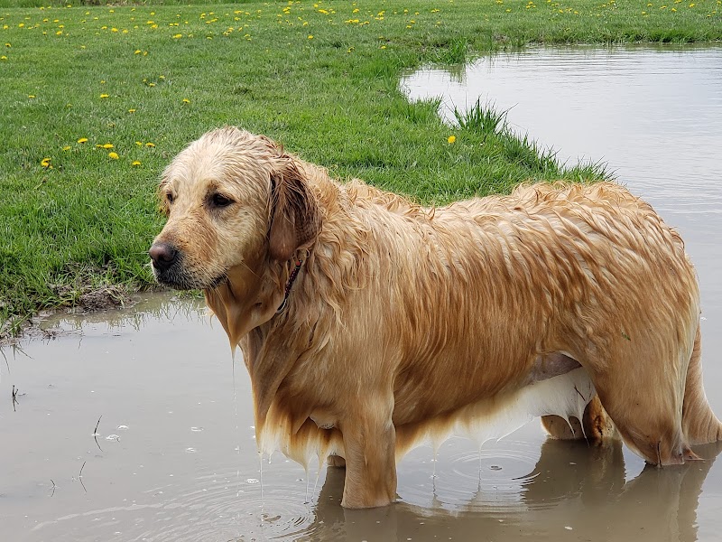 Tom Harvey Memorial Dog Park - Blanchester, OH