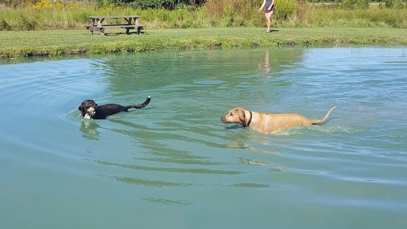 Tom Harvey Memorial Dog Park - Blanchester, OH