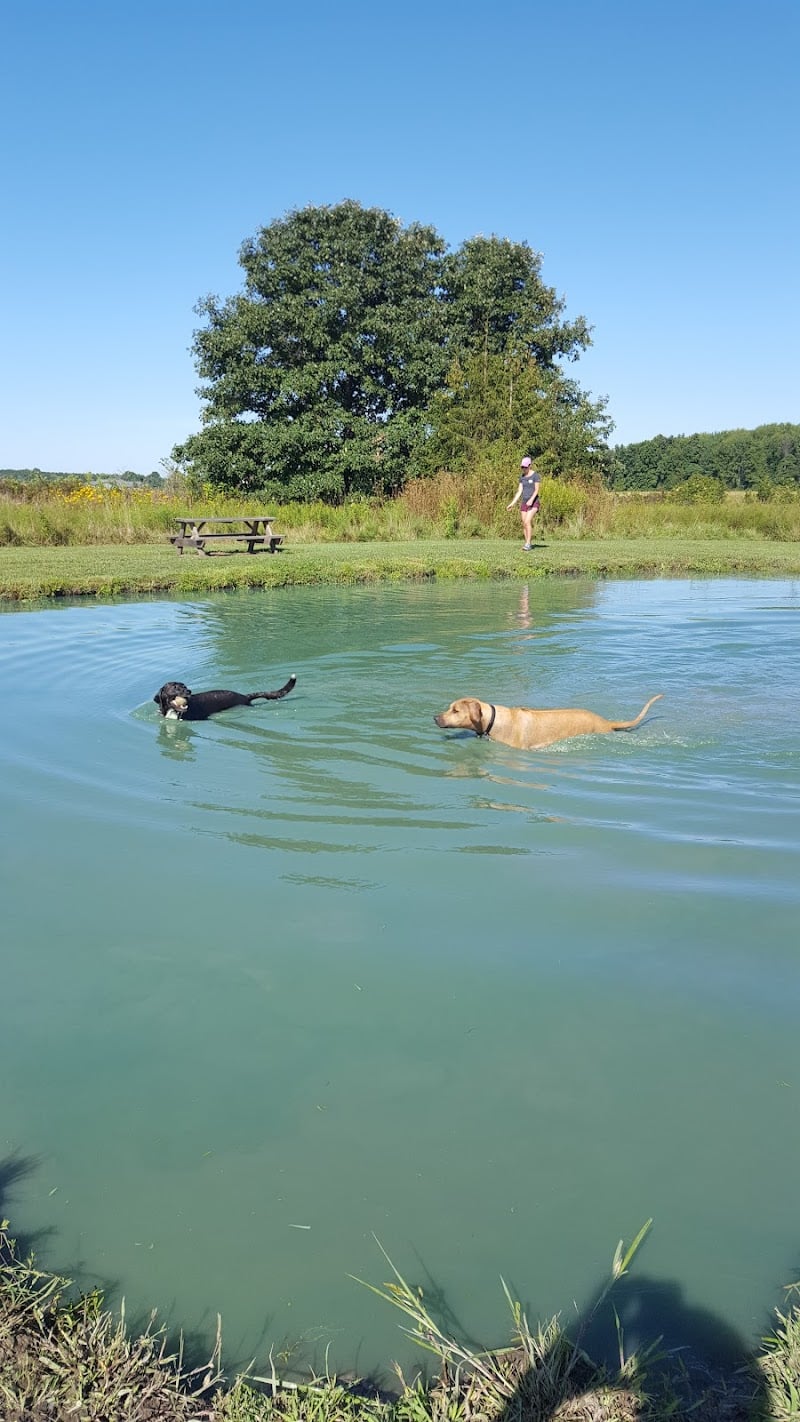 Tom Harvey Memorial Dog Park - Blanchester, OH