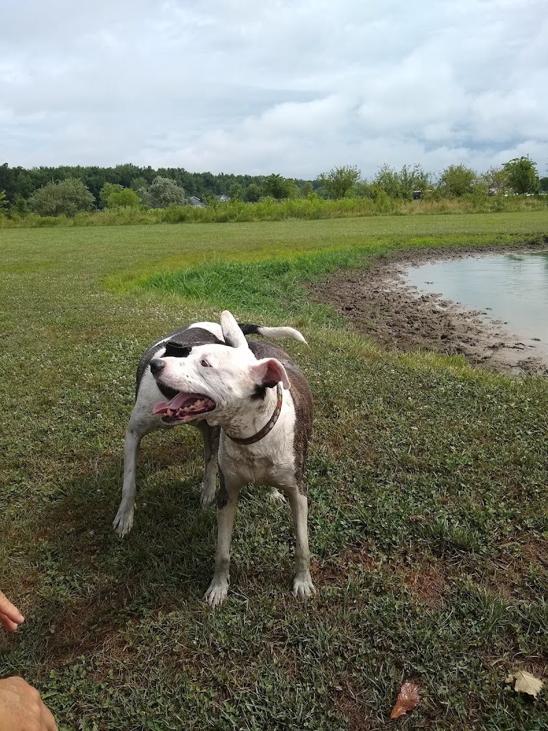 Tom Harvey Memorial Dog Park - Blanchester, OH