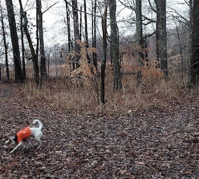 Tom Harvey Memorial Dog Park - Blanchester, OH
