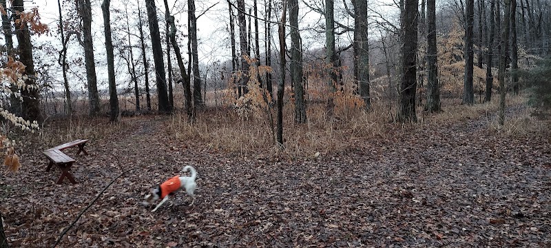 Tom Harvey Memorial Dog Park - Blanchester, OH