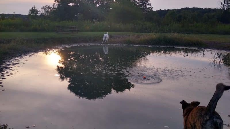 Tom Harvey Memorial Dog Park - Blanchester, OH