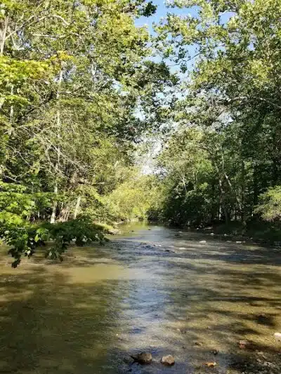 Garlo Heritage Nature Preserve - Bloomville, OH