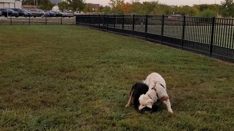 Summit Park Dog Park - Blue Ash, OH