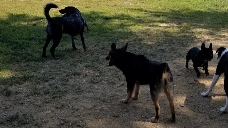 Summit Park Dog Park - Blue Ash, OH
