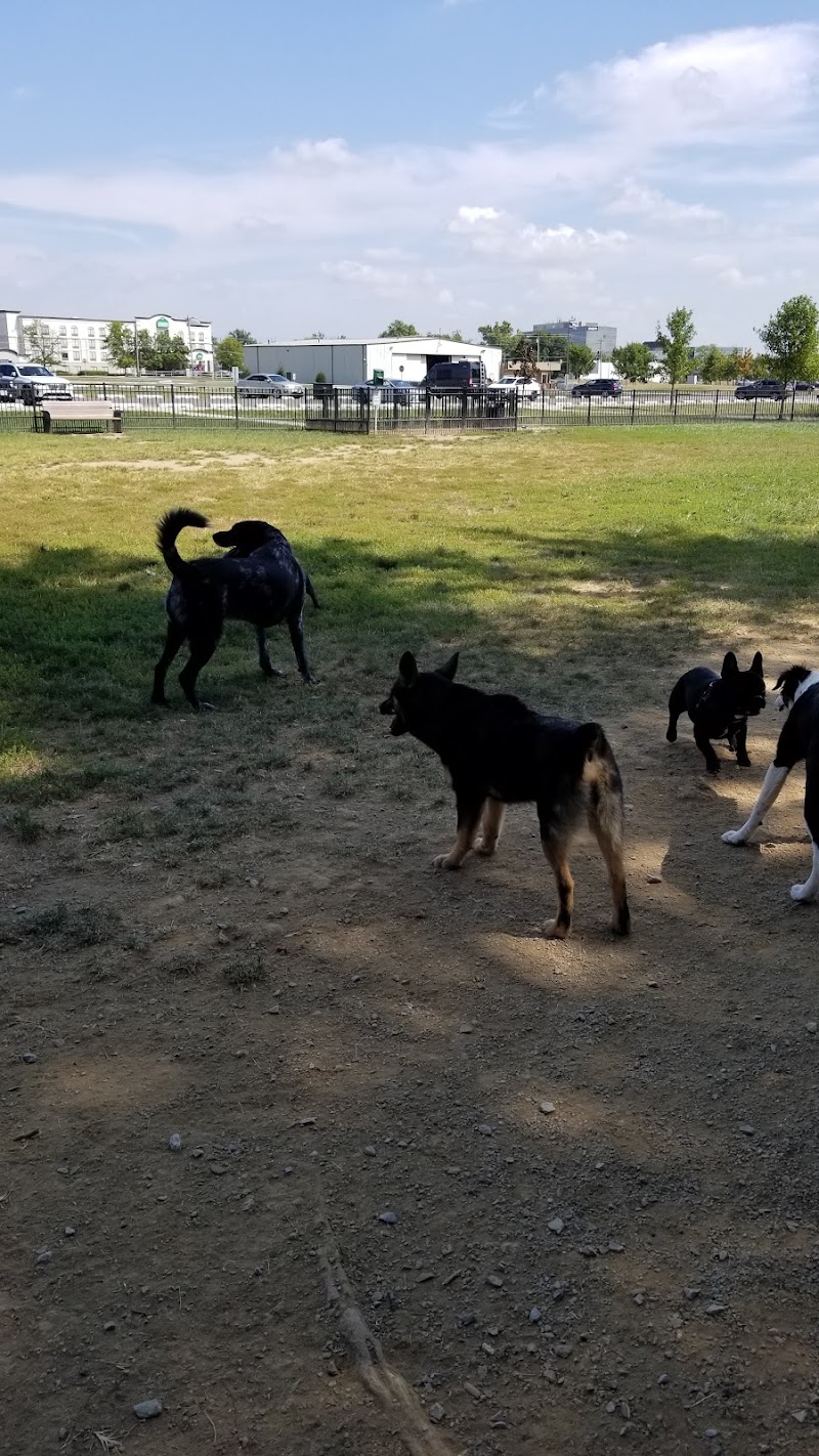 Summit Park Dog Park - Blue Ash, OH