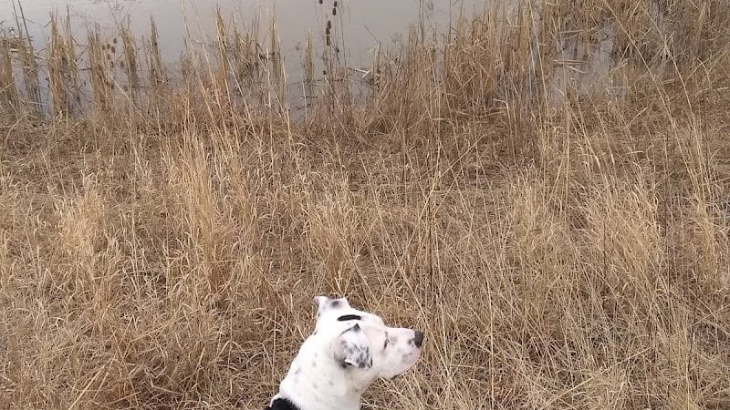 Summit Park Dog Park - Blue Ash, OH