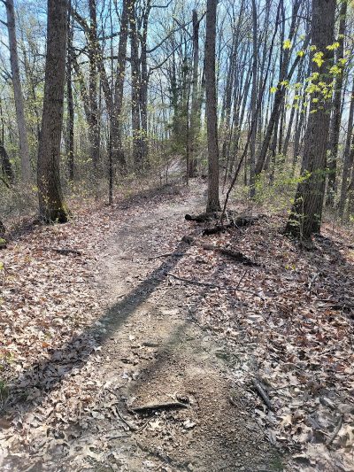 Shawnee State Park, Turkey Creek Lake - Blue Creek, OH