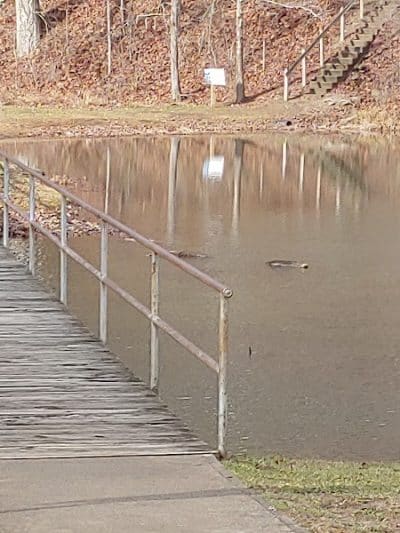 Shawnee State Park, Turkey Creek Lake - Blue Creek, OH