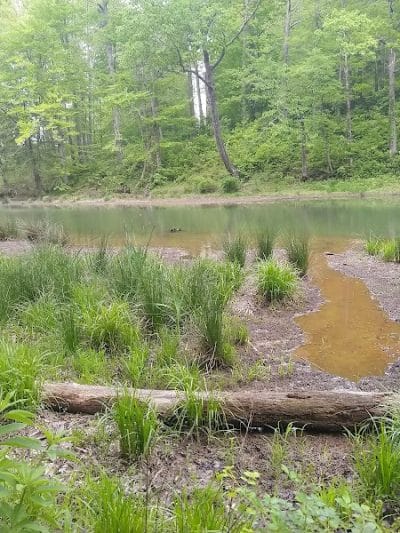 Shawnee State Park, Turkey Creek Lake - Blue Creek, OH