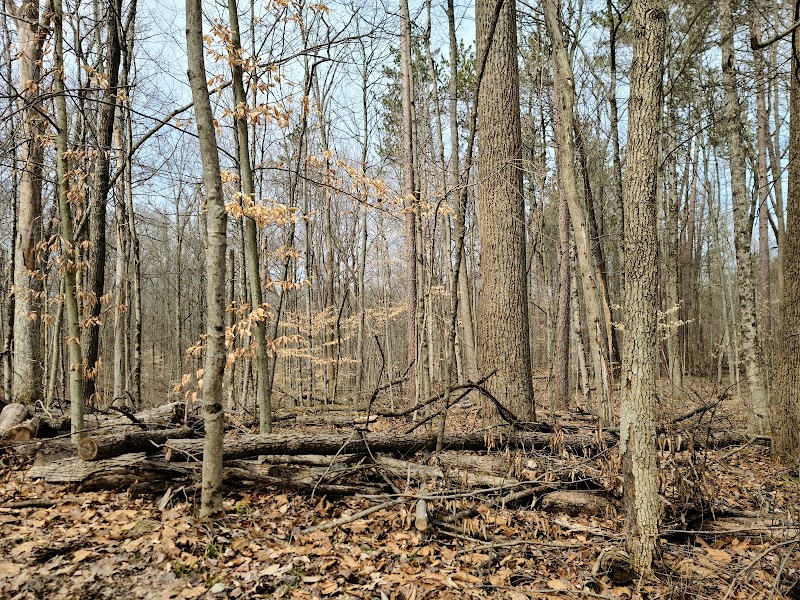 Blue Rock State Park - Blue Rock, OH