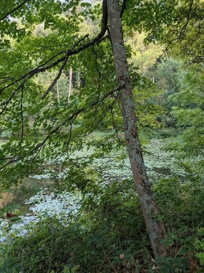 Blue Rock State Park - Blue Rock, OH