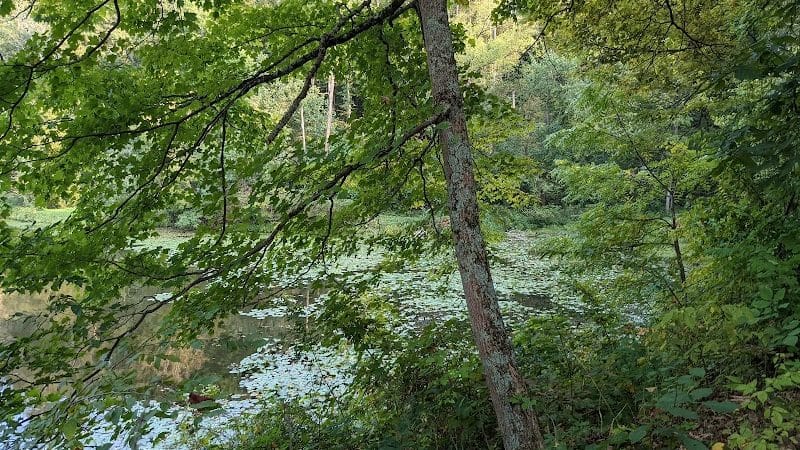 Blue Rock State Park - Blue Rock, OH