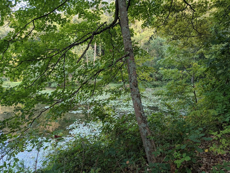 Blue Rock State Park - Blue Rock, OH
