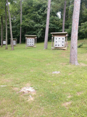 Blue Rock State Park Archery Range