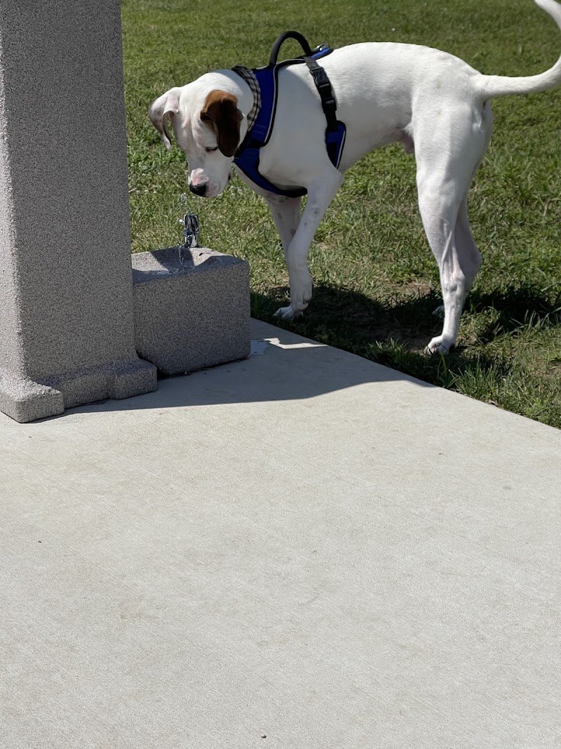Bluffton Community Dog Park - Bluffton, OH