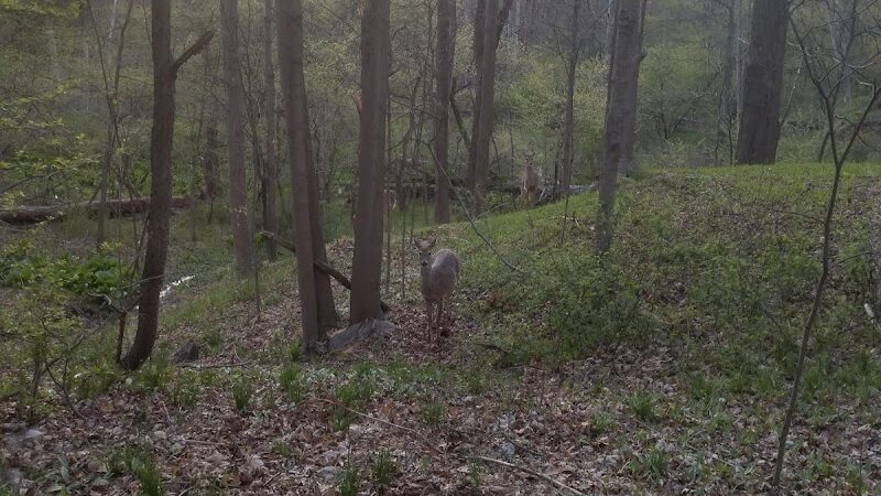 Route 224 Trailhead - East Golf Hike & Bike Trail - Boardman, OH